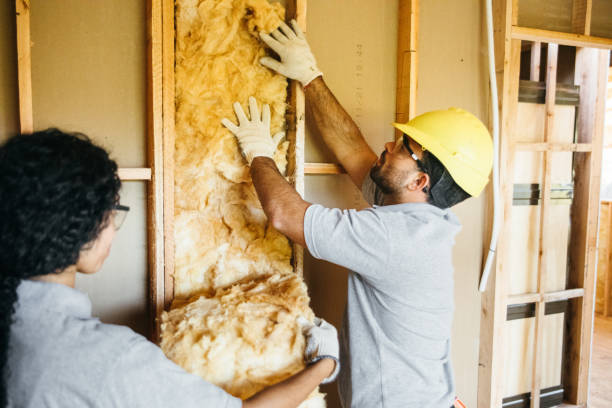 Best Basement Insulation  in Pocasset, MA