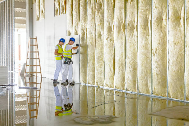 Best Insulation for Metal Buildings  in Pocasset, MA